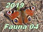 fauna 04